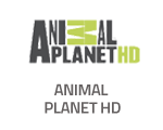 Animal Planet